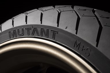 Dunlop Mutant Rear