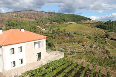 QUINTA DE FIÃES- AGROTURISMO NO DOURO
