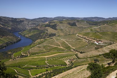 Quinta da Gricha