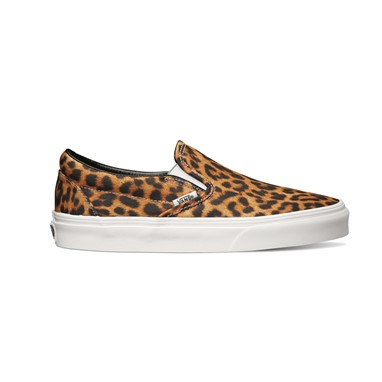 PVP - 62,90€