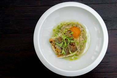 Pescada grelhada com açorda e gema curada
