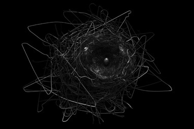 Menção honrosa Natureza | «Crows Nest», Yosuke Kashiwakura | National Geographic Photo Contest 2013