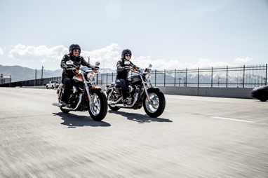 Sportster XL 1200 CA Custom Limited 2014