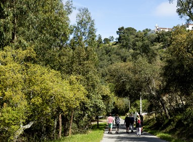 © Associação Turismo do Algarve (ATA) 