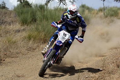 Luís Teixeira
