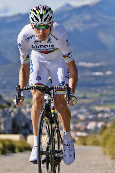 Rui Costa