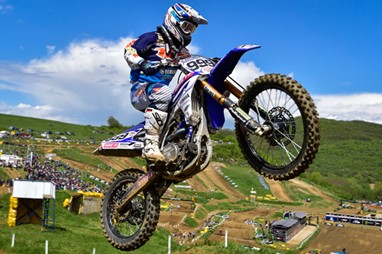 Rui Gonçalves