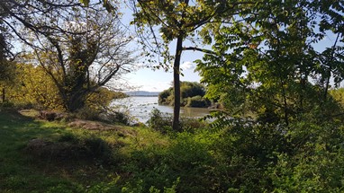 Vala Real da Azambuja