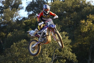 Sandro Peixe
