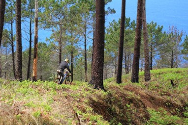 Emanuel Pombo Foto©Robert Erens