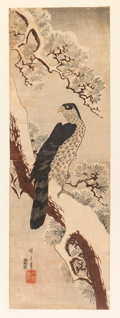 Falcão pousado num pinheiro Gravura da autoria de Ando Hiroshige (1797-1858) Japão, séc. XIX 36,90x24,70cm Museu Calouste Gulbenkian, Inv.º 2179B © Fundação Calouste Gulbenkian, Lisboa Foto: Carlos Azevedo