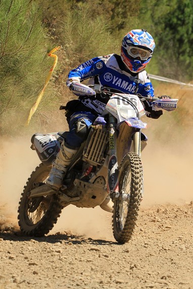 Frederico Fino