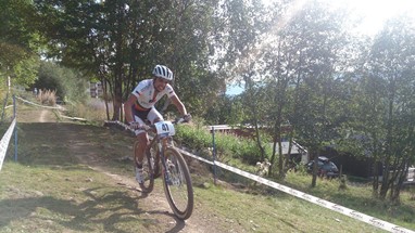 David Rosa