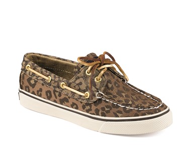 PVP - 69,90€