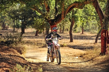 Foto de Paulo Ministro/FMP