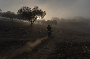 Foto de Paulo Ministro/FMP