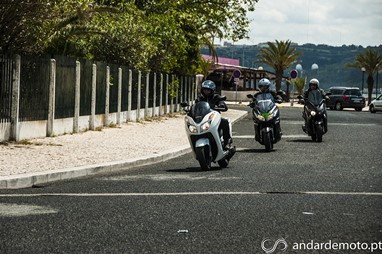 Forza 300, J300 e X-Max 250