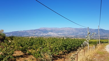 Covilhã na encosta da Serra
