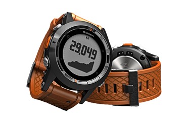 fenix