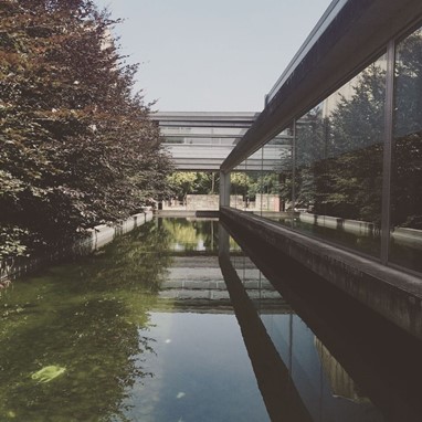 Centro de Sangue e Transplantação, ARX Portugal