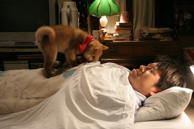 "Mameshiba" ©2009 MAMESHIBA PRODUCTION COMMITTEE