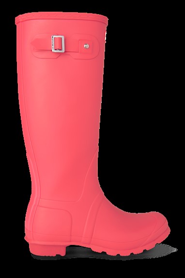 PVP - 136,90€