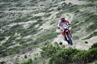 Paulo Gonçalves