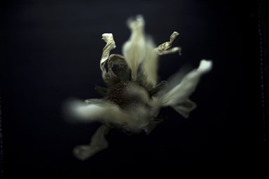 "Máquina-Olho-Mão", Sara Morgado Santos, foto de João Ferro Martins
