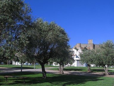Parque da Matriz, Portel