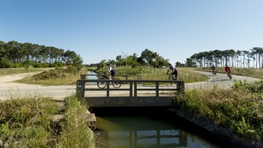 © Associação Turismo do Algarve (ATA)