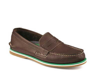 PVP - 119,90€
