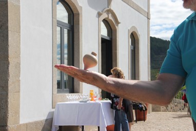 QUINTA DE FIÃES- AGROTURISMO NO DOURO
