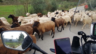 Perto de Malpica do Tejo