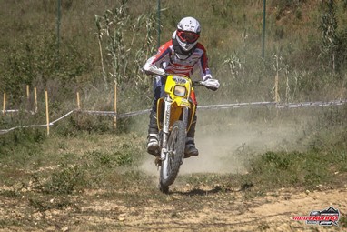 Ricardo Gomes