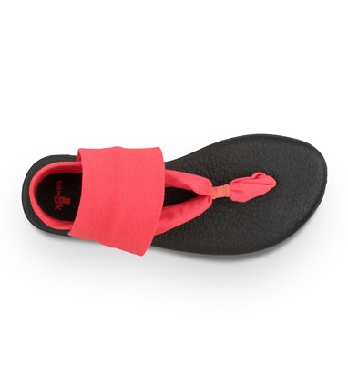 PVP - 36,90€