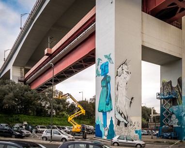 ©José Vicente