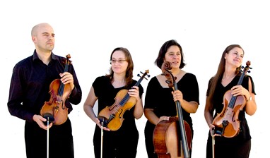  Quarteto de Cordas da AML