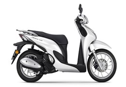 Scooter 125 cc