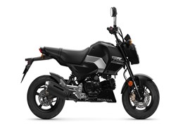 Scooter 125 cc