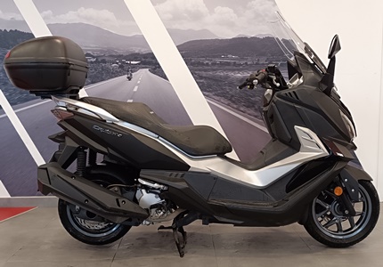 CruiSym 300
