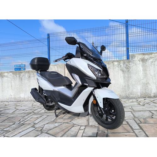 CruiSym 300