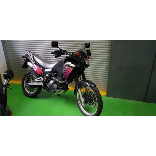 Suzuki DR 650