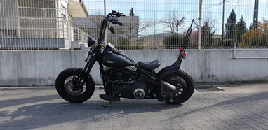 Harley-Davidson Cross Bones | Moto
