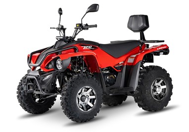 Linhai Z 210 EFI 2*4 | ATV | ATV