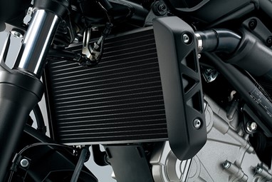 Suzuki SV 650 | Moto | Carretera