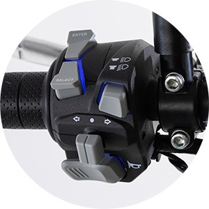 QJ Motor SRV 12 | Moto | Custom
