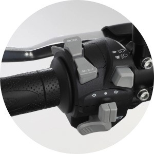 QJ Motor SRV 300 | Moto | Custom