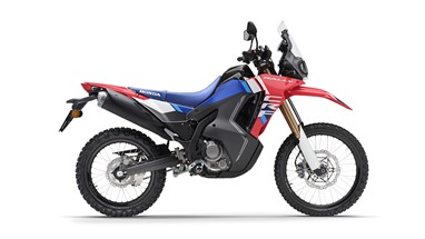 Honda CRF300 RALLY 2025 | Moto | Adventure