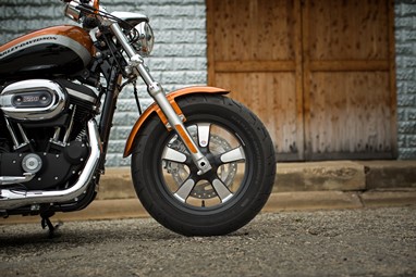 Harley Davidson 1200 Custom - Edição Limitada A | Moto | Sportster