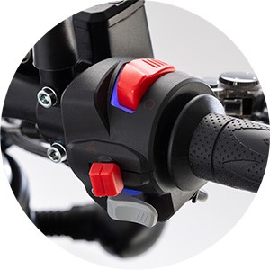 QJ Motor SRV 12 | Moto | Custom